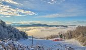 Tour Zu Fuß Montesegale - Anello Fornace Nord - Photo 3