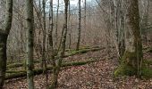 Tour Wandern Belmont - 25-01-25 : Belmont, l'Angle du Bonheur, la Corbière - Photo 2