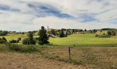 Trail Walking Lac-des-Rouges-Truites - Mont Noir de Vent - Photo 2