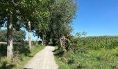Trail Walking Asse - Relegem 5 Km - Photo 3