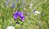 Trail Walking Jausiers - le lac des sagnes - Photo 11