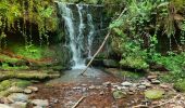 Tocht Stappen Collonges-la-Rouge - colonge - Photo 15