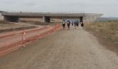 Tour Wandern Santo Domingo de la Calzada - Viloria de Rioja - Photo 5