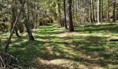 Tocht Stappen Valavoire - Château de la mole - Col de la Sapie - Photo 5