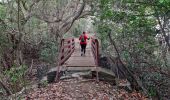 Tour Wandern Le Lorrain - Boucle Crabière - Anse Rivière Rouge - Photo 15