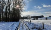 Trail Walking Tinlot - Ramelot sous la neige - Photo 10