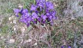 Trail Walking La Caunette - La Caunette - 17 - Photo 13