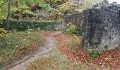 Tocht Stappen Waldkirch - Waldkirch - grande boucle des ruines du Schwanzenberg - Photo 18