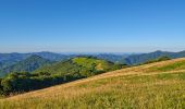 Percorso A piedi Carrega Ligure - Anello Borbera - Spinti 7° Tappa Capanne di Carrega – Monte Antola - Photo 2
