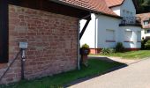 Tour Wandern Philippsburg - Étang de Hanau / Circuit de découverte  - Photo 13