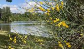 Tour Wandern Maisons-Alfort - Mausobs Alfort bois de Vincennes  - Photo 14