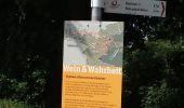 Tour Zu Fuß Rödelsee - Traumrunde Schwanberg - Photo 2