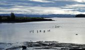 Trail On foot Māngere-Ōtāhuhu - Watercare Coastal Walkway - Photo 5