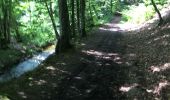 Trail Walking Durbuy - Villers - Photo 7