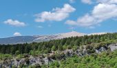 Randonnée Marche Flassan - la chapelle St Jean d après le P´tit Craphut - pays du Ventoux Dentelles de Montmirail - Photo 9