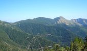 Randonnée A pied Moulinet - Cime du Diable - Photo 9