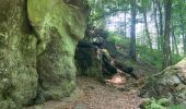 Excursión Senderismo Echternach - Trek Rchternacht 2  - Photo 8