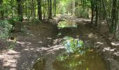 Trail Walking Bièvre - Naome 070724 - Photo 20