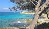 Randonnée Marche Santo-Pietro-di-Tenda - Le sentier côtier entre la plage de Seleccia et celle de Lotu - Photo 6