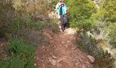 Tocht Stappen Segart - Pico Garbi  - Photo 16