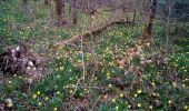 Tocht Stappen Besançon - Forêt de CHAILLUZ Fort de la Dame Blanche - Photo 1