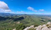 Tour Wandern Pourrières - Pourcieux - Mt. Olympe - Rocher de Onze Heures - Photo 2