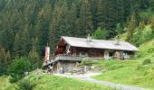 Tour Zu Fuß Saalbach-Hinterglemm - Talschluss Höhenweg - Photo 7
