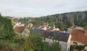 Trail Walking Mettet - ERMETON -sur- BIERT ...  parcours campagnard vers Maredret. - Photo 4
