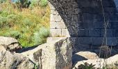 Randonnée Marche Pont de Montvert - Sud Mont Lozère - T-Hopital - Photo 7