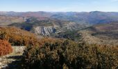 Tocht Stappen La Roche-sur-le-Buis - la montagne de Banne  - Photo 6