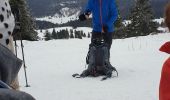 Trail Snowshoes Divonne-les-Bains - La Vatay Suisse - Photo 1