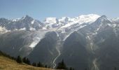 Trail Walking Les Houches - AIGUILLETTE DES HOUCHES - Photo 3