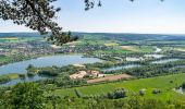 Excursión A pie Höxter - Erlesene Natur - Zu Besuch im Paradies - Photo 1