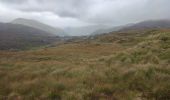 Tour Wandern West Cork - Hungry Hill - Photo 9