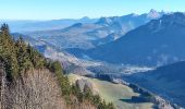 Trail Walking Habère-Poche - Le mont forchat  - Photo 10