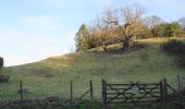 Tour Zu Fuß Wyre Forest - Ribbesford Circular Trail - Photo 6