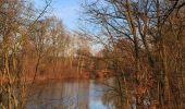 Tocht Te voet Kladruby nad Labem - [Č] Kladruby - Přelouč - Photo 2