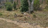 Excursión Senderismo Mazaugues - De Mazaugues vers la glacière Pivaut - Photo 12