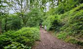 Tocht Stappen Montigny-le-Tilleul - Balade de Landelies à l'abbaye d'Aulne - Photo 5