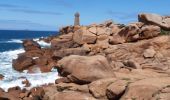 Tocht Stappen Perros-Guirec - ploumanac - Photo 4