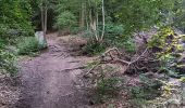 Randonnée Marche Sprimont - dans les bois au nord de Banneux - Photo 3