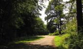 Tocht Stappen Haramont - en forêt de Retz_79_08_2019_vers Taillefontaine et Retheuil par les lisières - Photo 2