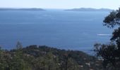 Tocht Hybride fiets Rayol-Canadel-sur-Mer - Vélo le col du Canadel et Parc de Port Cros - Photo 3