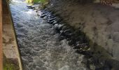 Tour Wandern Chamonix-Mont-Blanc - Cascade du Dard Glacier du Bosson - Photo 2