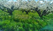 Tocht Elektrische fiets Jussy - Coulanges BORNE 10 04 24 - Photo 15