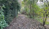 Trail Walking Dendermonde - Dendermonde 18,4 km - Photo 11