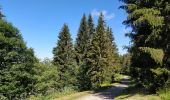 Excursión Senderismo Arâches-la-Frasse - randonnée en forêt, les Carroz, Araches, la Frasse - Photo 3