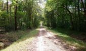 Trail Walking Huismes - Huismes - les Fontaines d'Ozon GR3 - 15.9km 170m 3h35 - 2022 07 17 - Photo 5