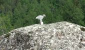 Trail Walking Ceillac - col Fromage - Photo 4
