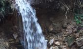 Trail Walking Stoumont - stoumont . targnon .la sûreté  . monthouet . stoumont  - Photo 10